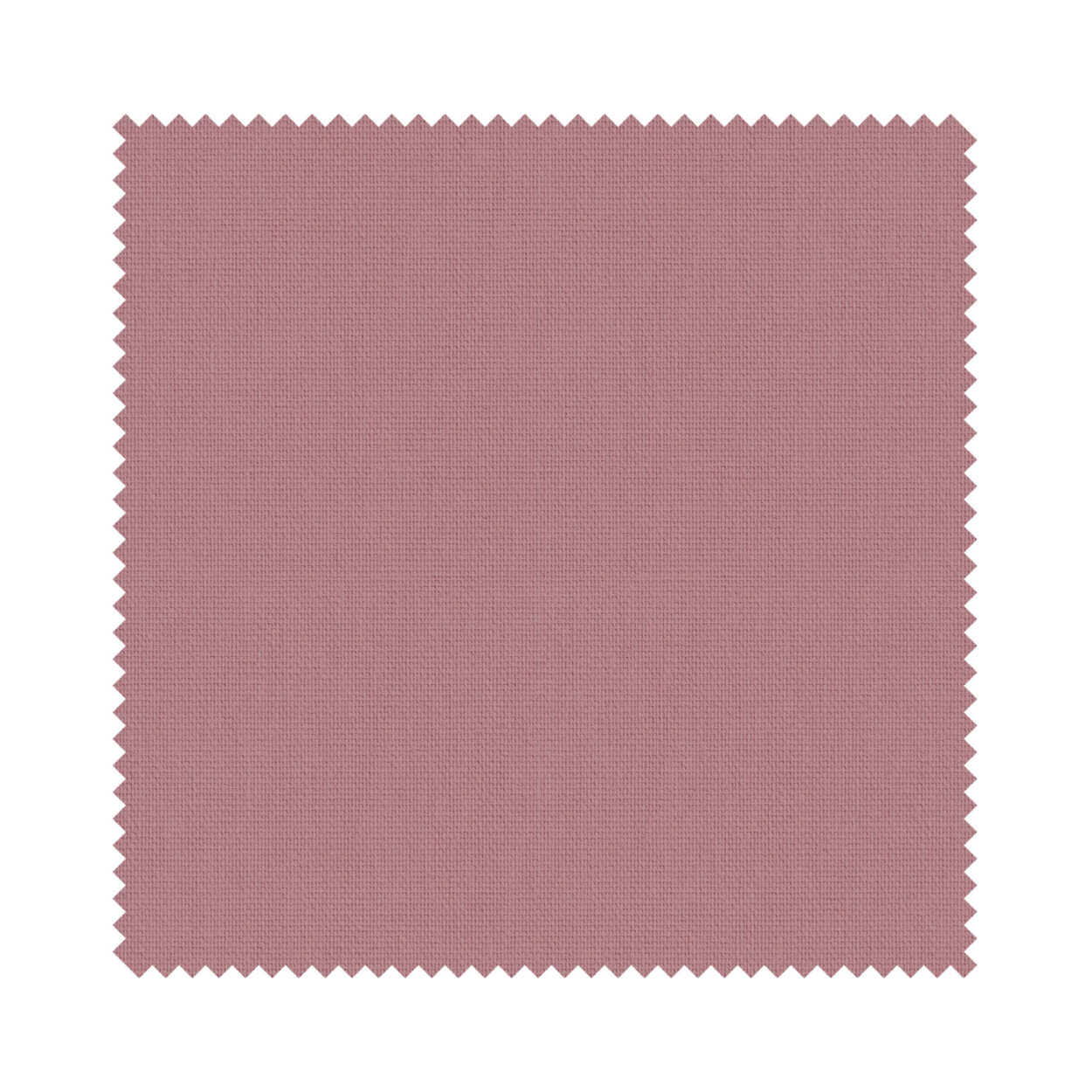 Bella Arcadia - Image 6