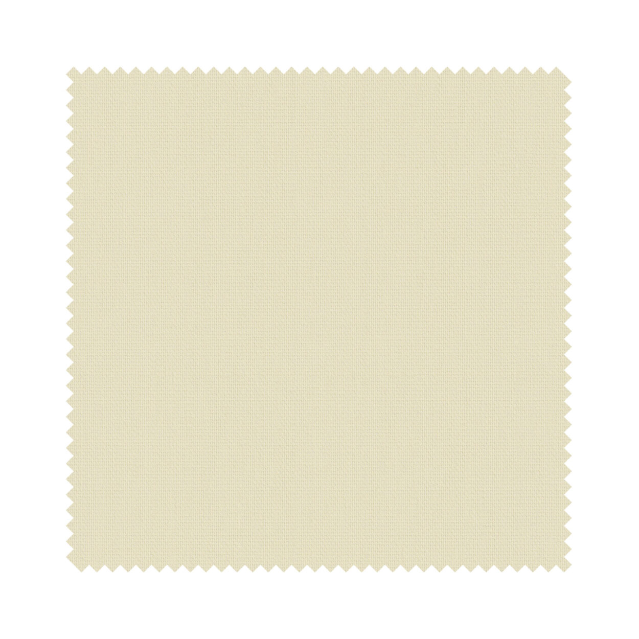 Bella Beige - Image 6