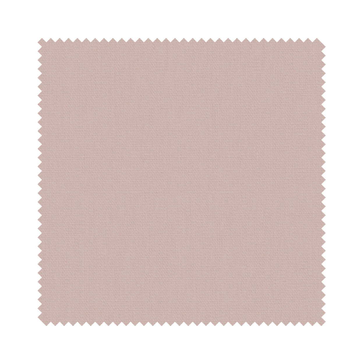 Bella Bossa - Image 6
