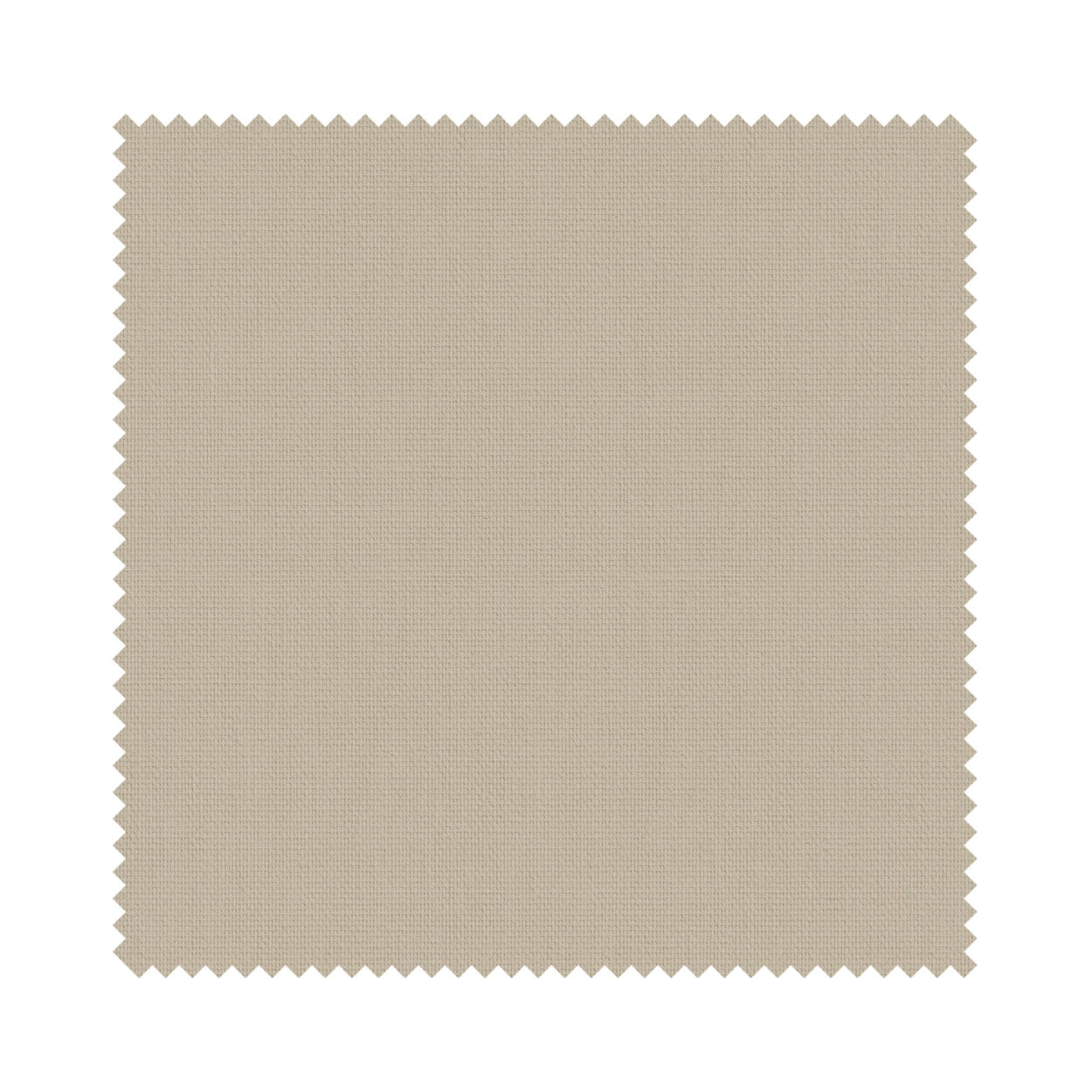 Bella Hessian - Image 6