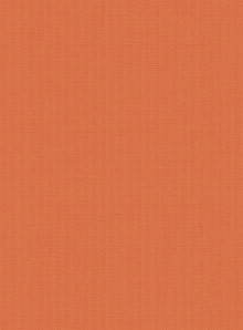 Bella Jazz Replacement Slats - Image 6