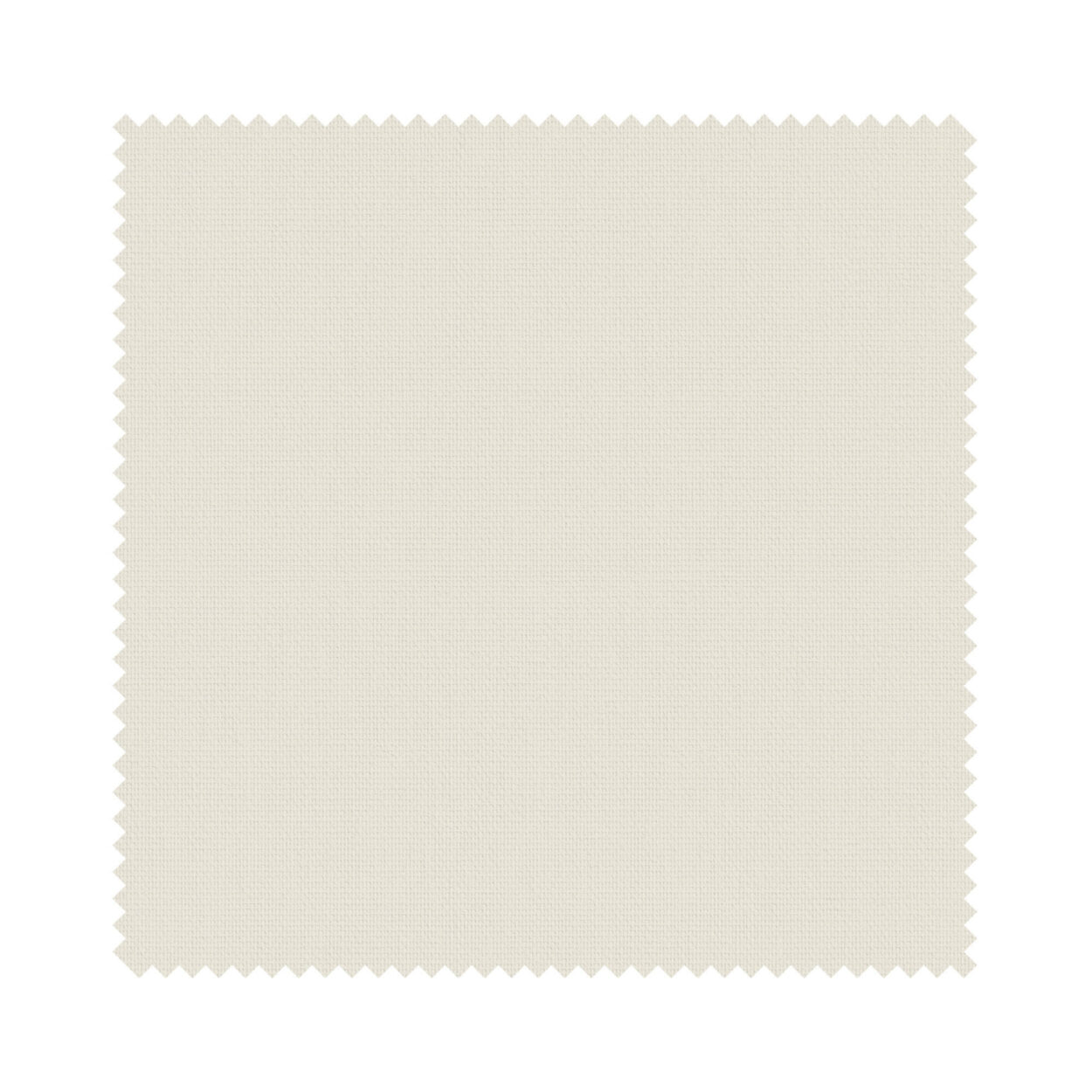 Bella Oyster - Image 6