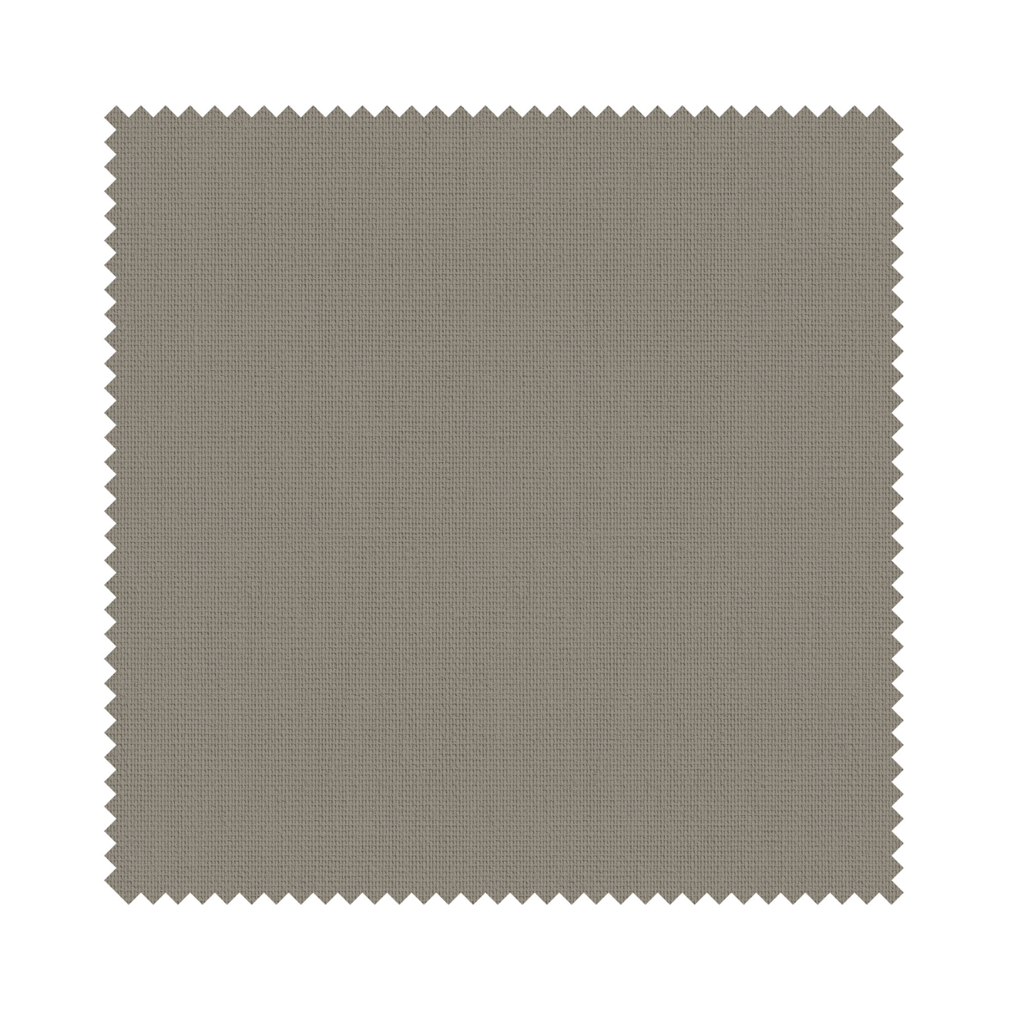 Bella Portobello - Image 6