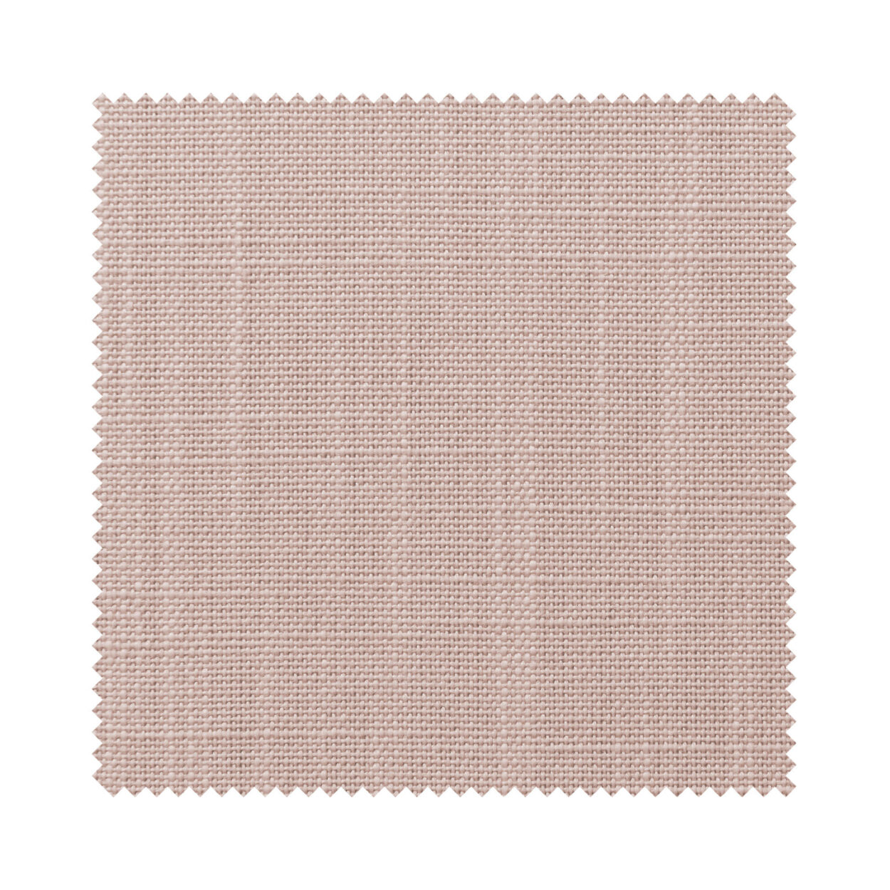 Bexley Peony - Image 6