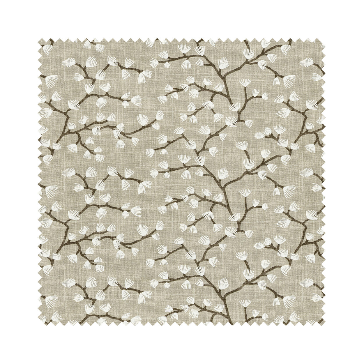 Brando Taupe - Image 5