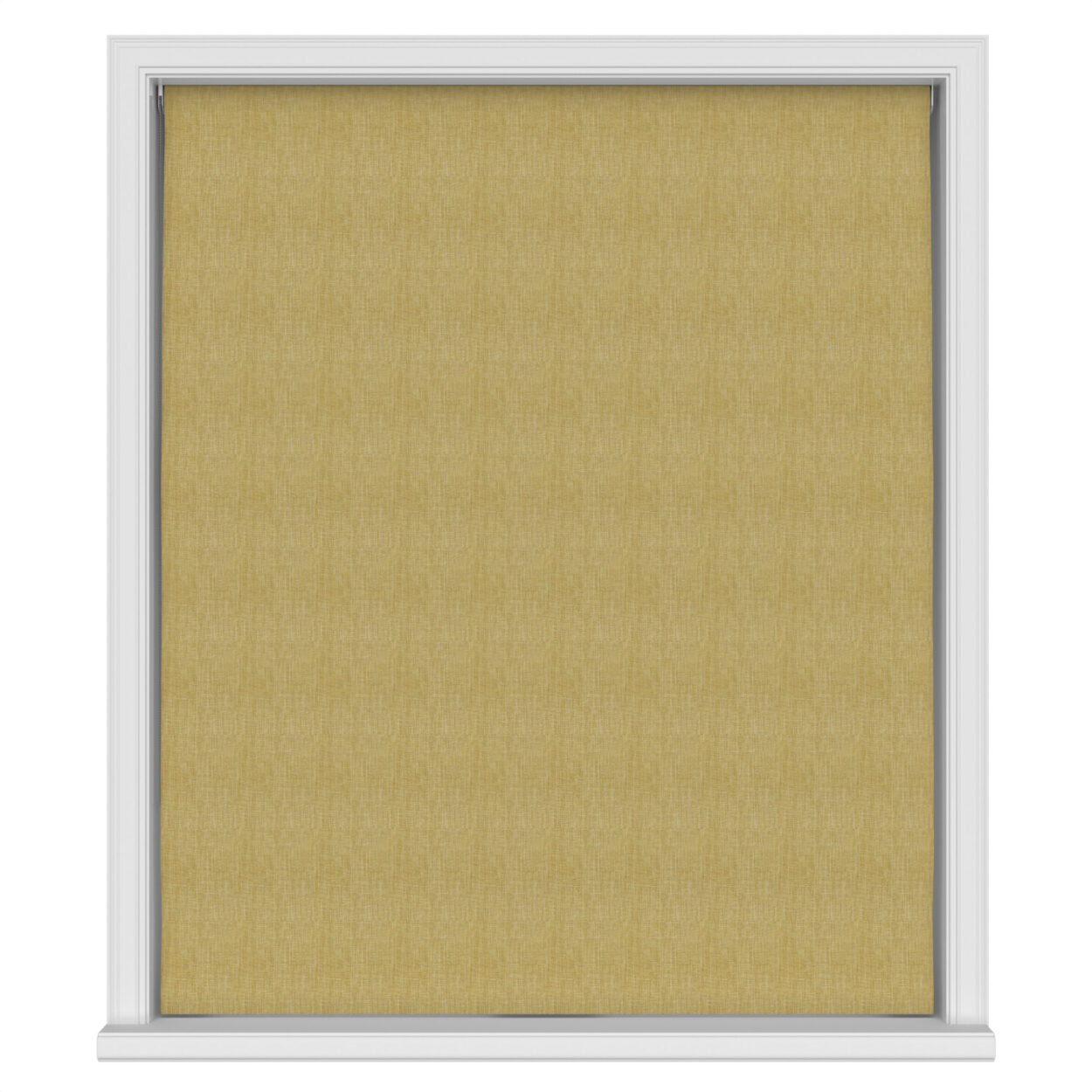 Calla Zest - Image 4