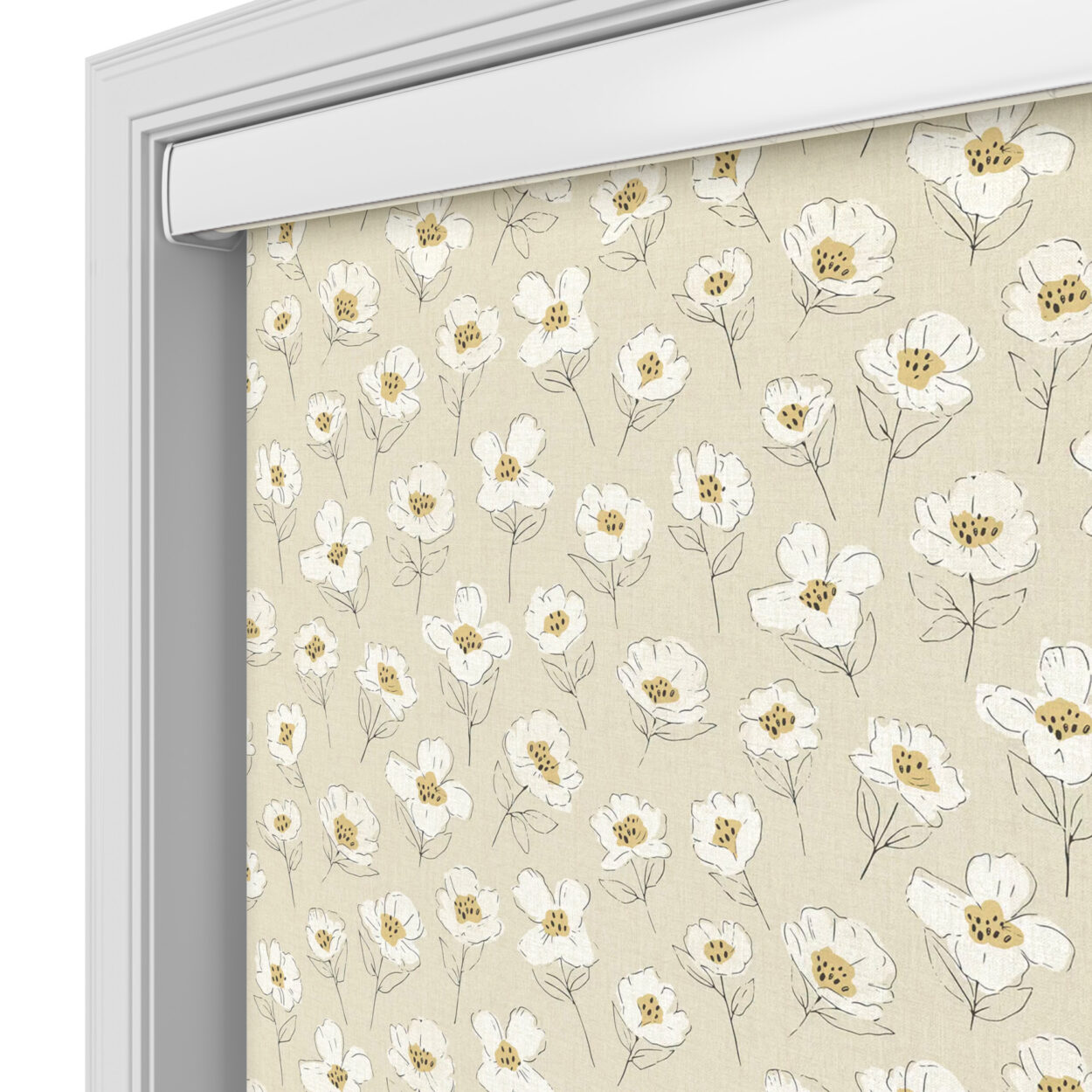Camillia Honey Cassette Motorised - Image 4