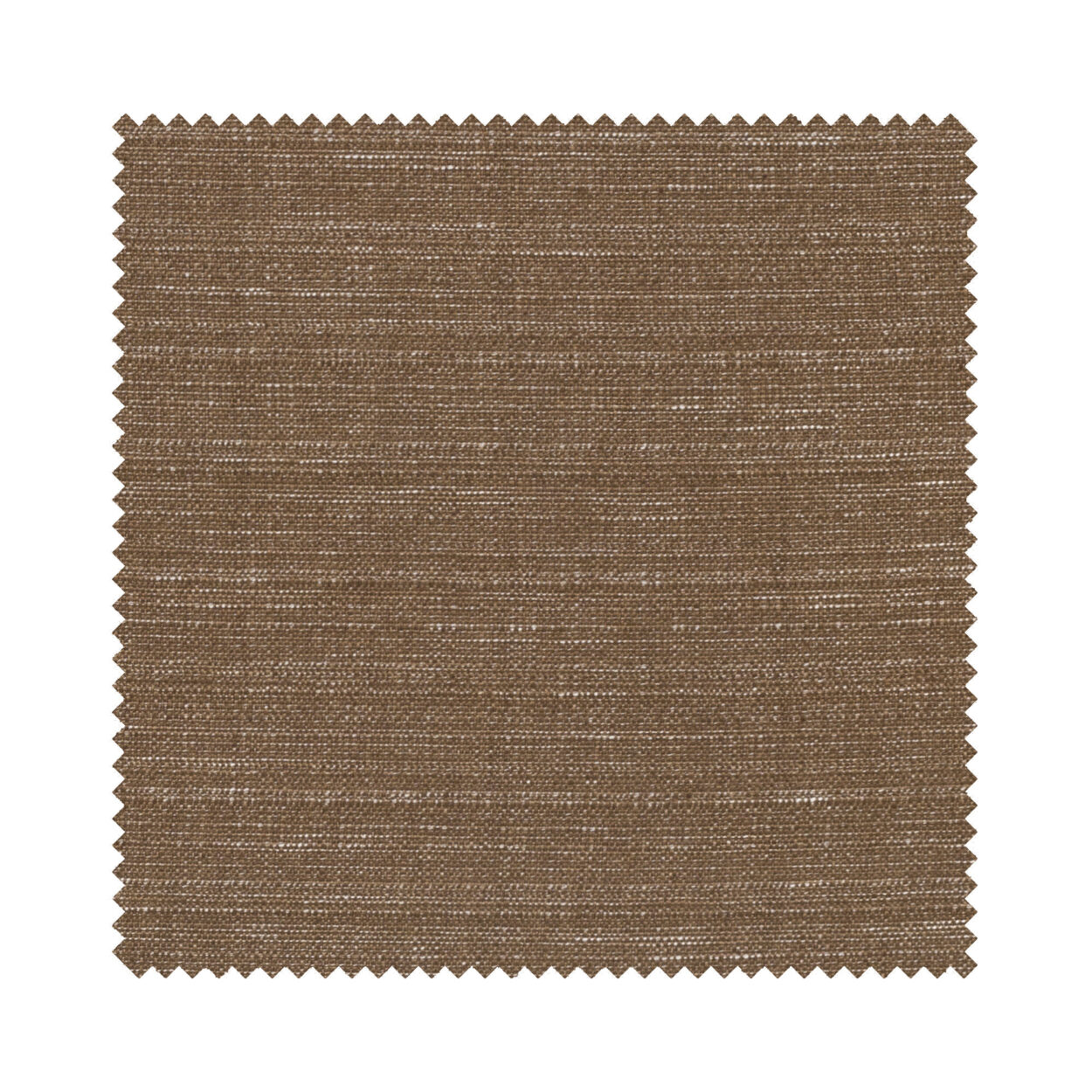 Caracas Bronze - Image 9