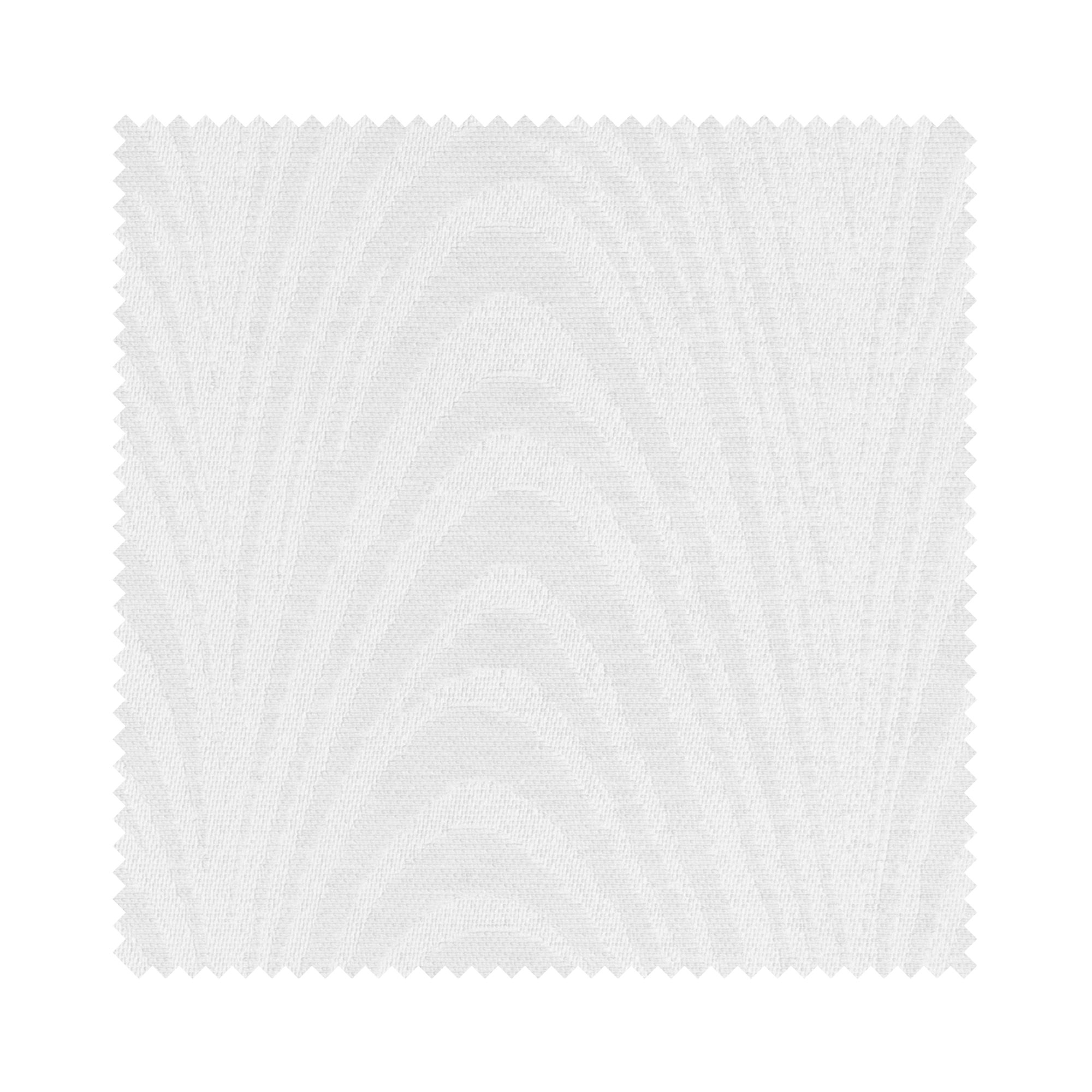 Carlo White - Image 6