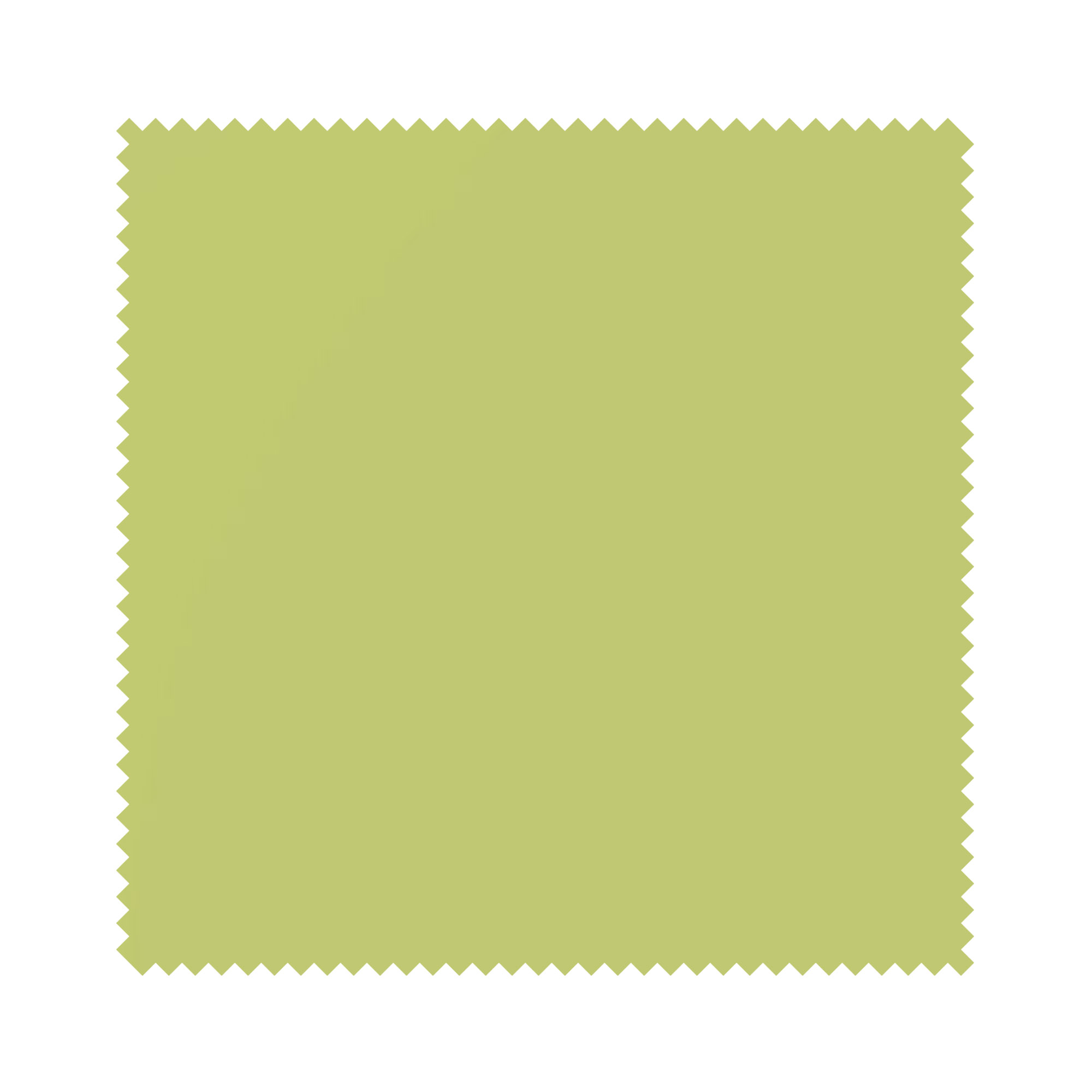 Carnival Kiwi Replacement Slats - Image 6