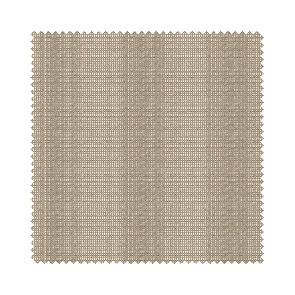 Cassatt Taupe - Image 5