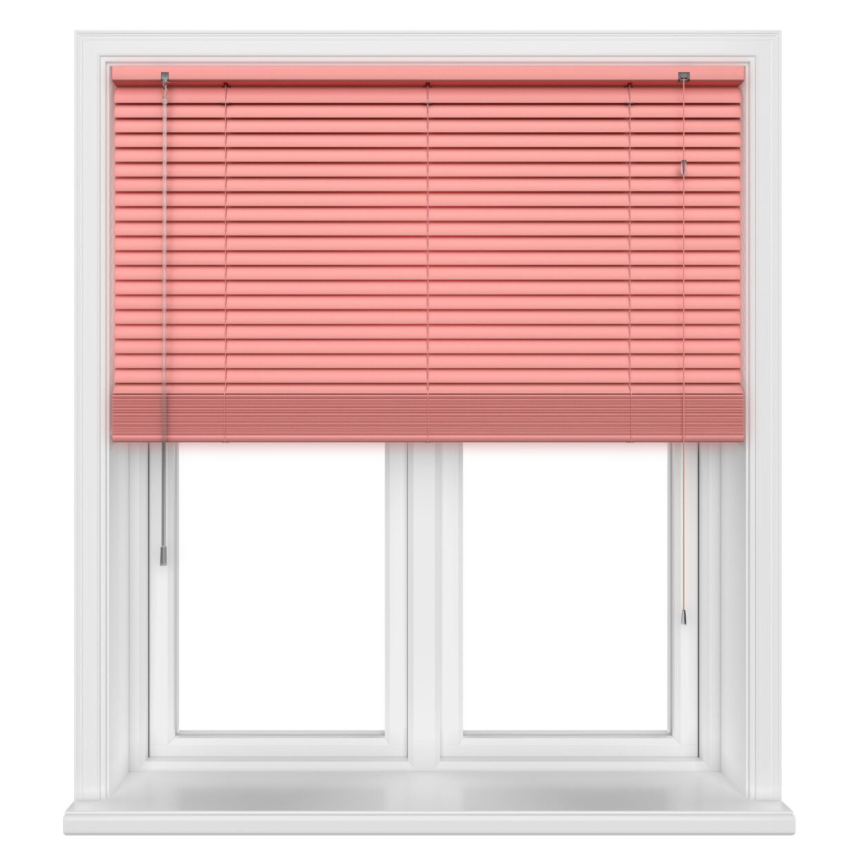 Coral - Image 3