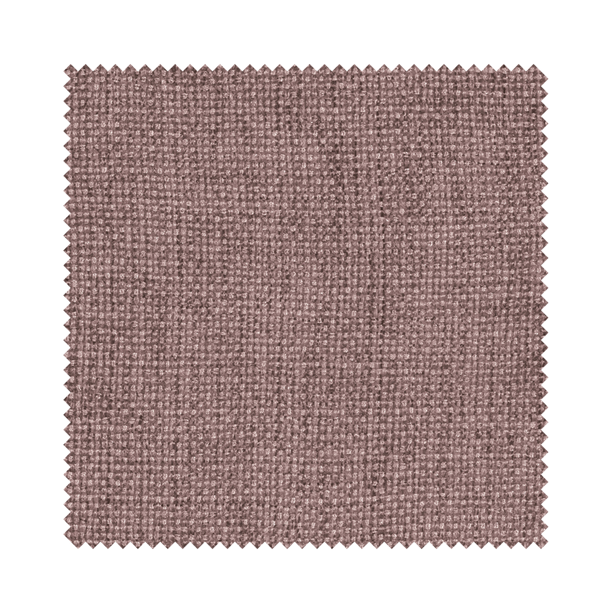 Cyrus Blossom - Image 5