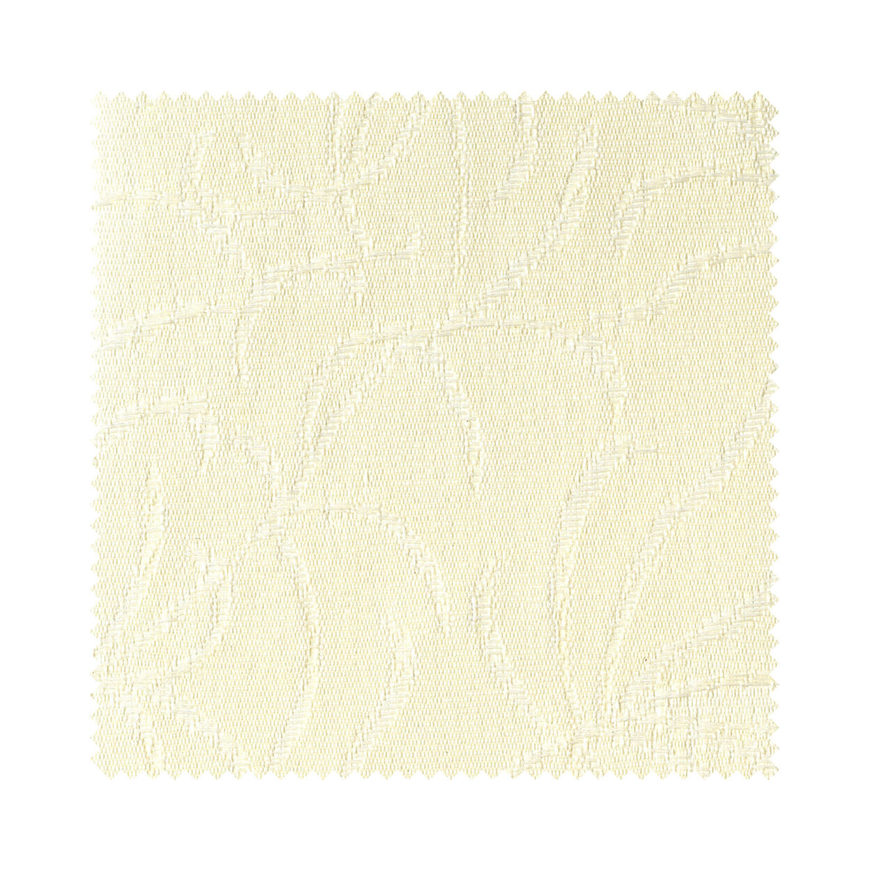 Daisy Cream - Image 6