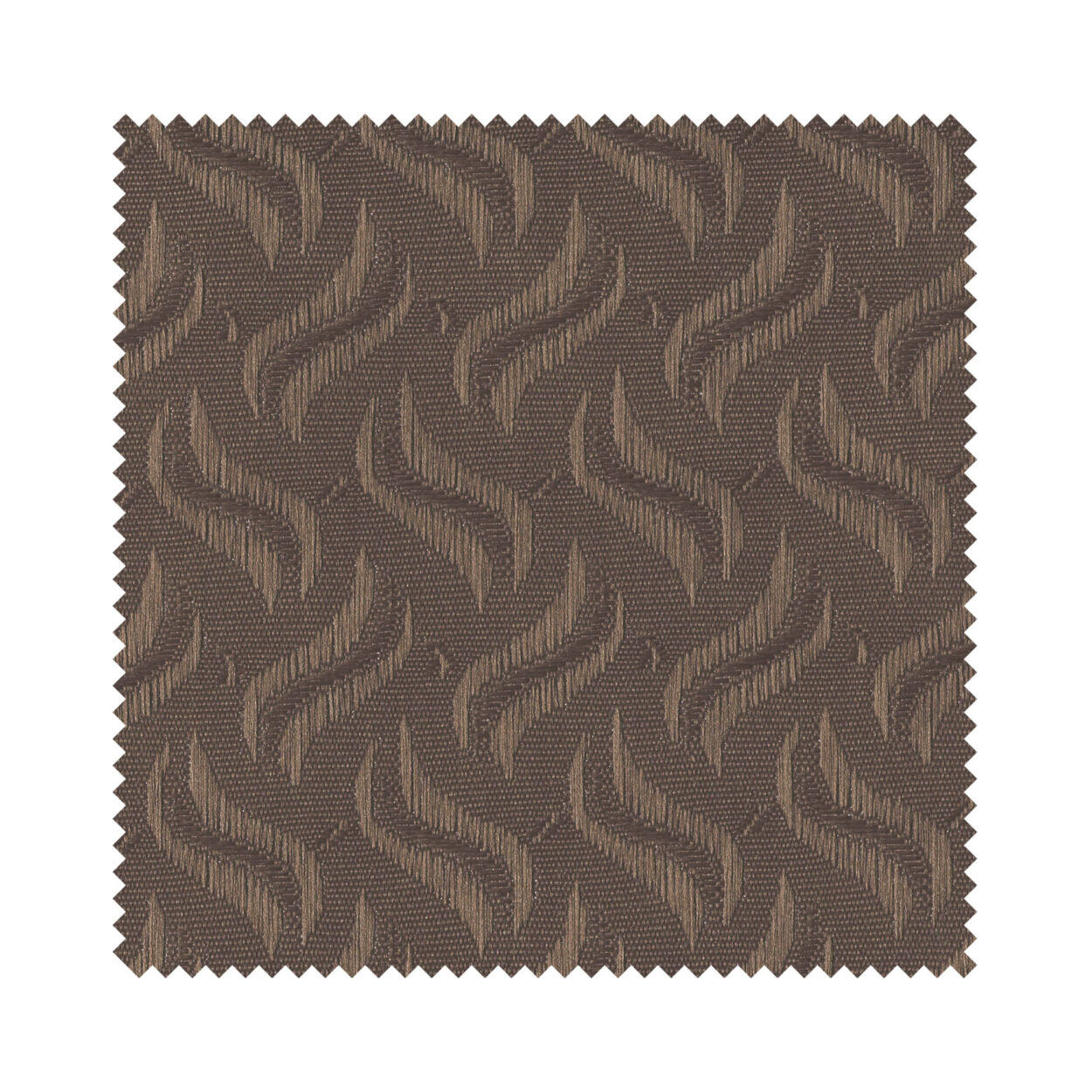 Dolphin Brown - Image 6