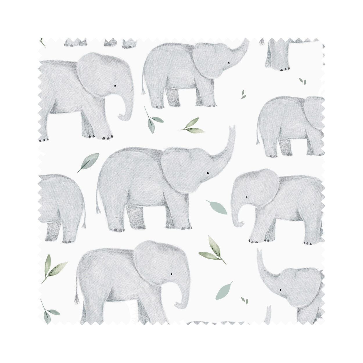 Elephants White Blackout - Image 5