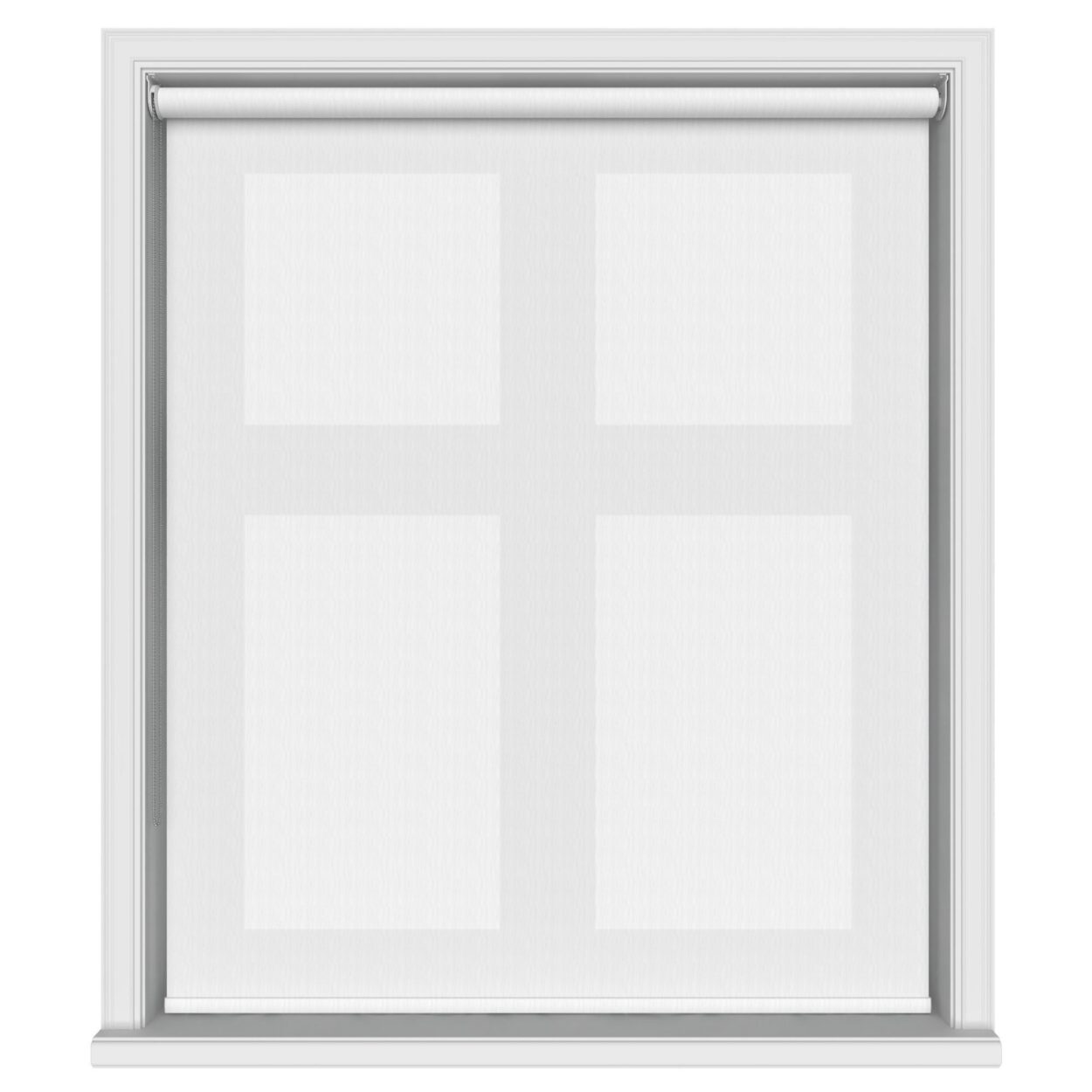 Fiesta White - Image 2