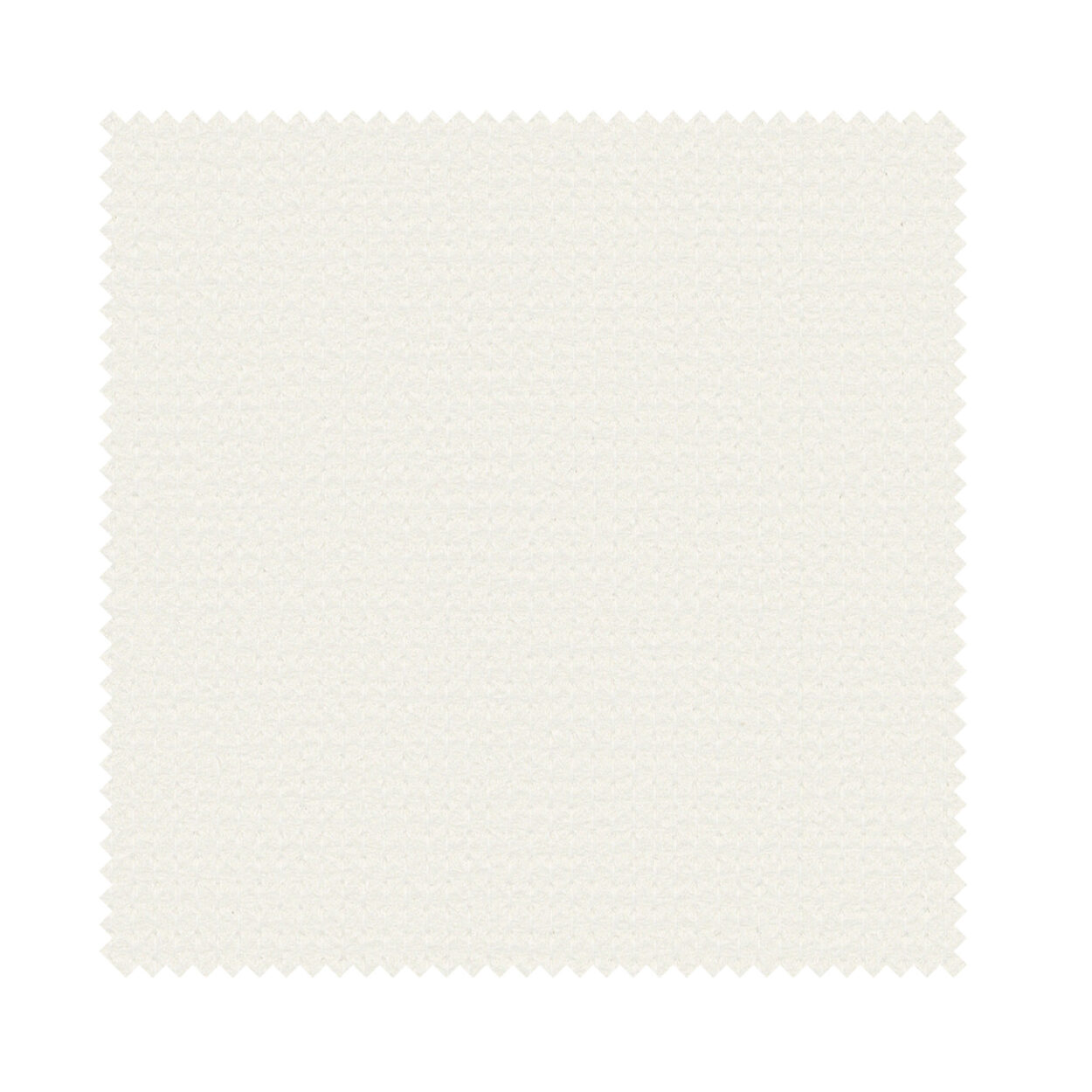 Fitz Cream - Image 6