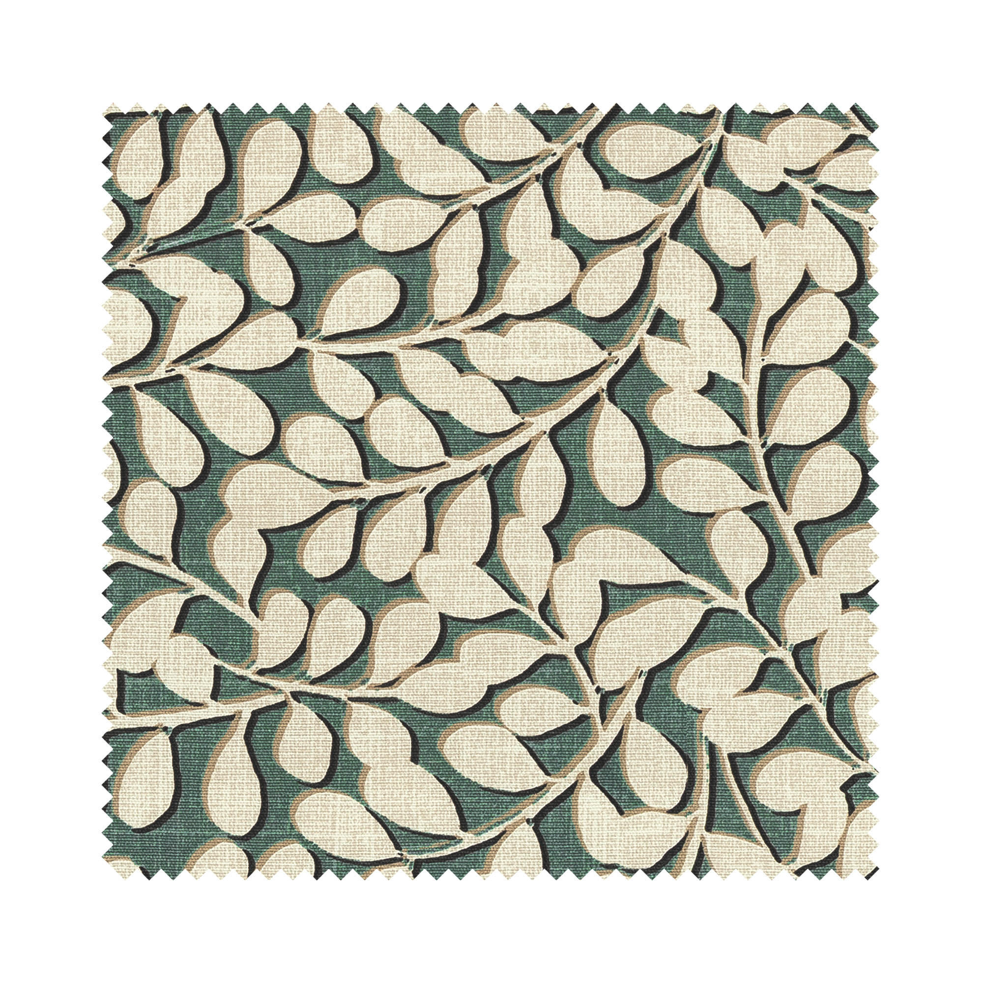 Franco Olive - Image 5