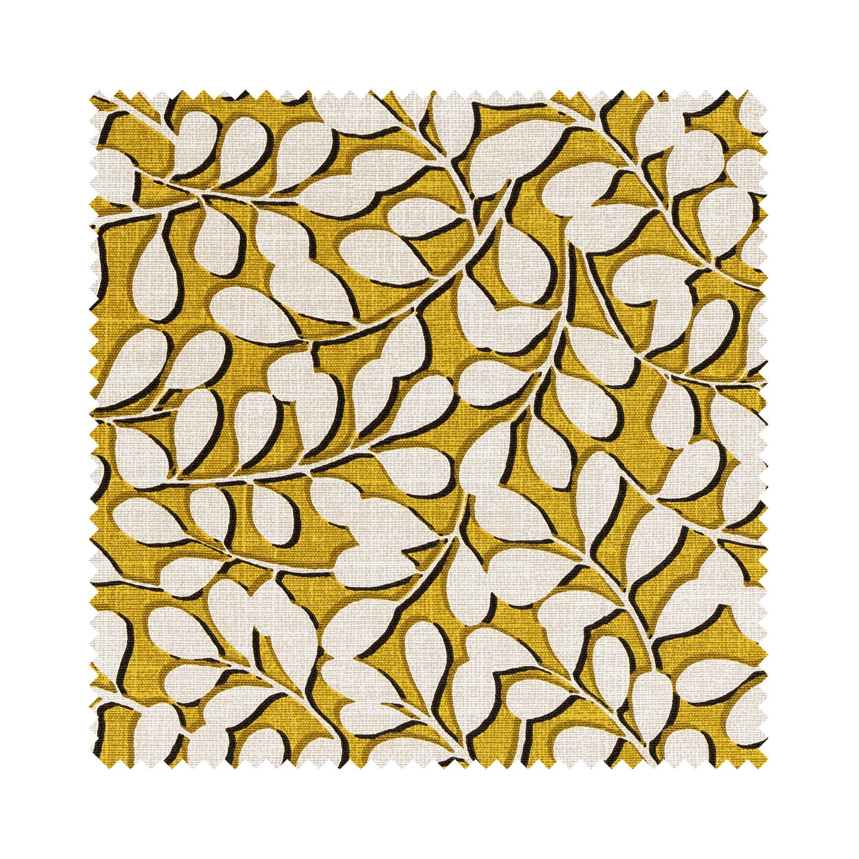 Franco Sunflower - Image 5