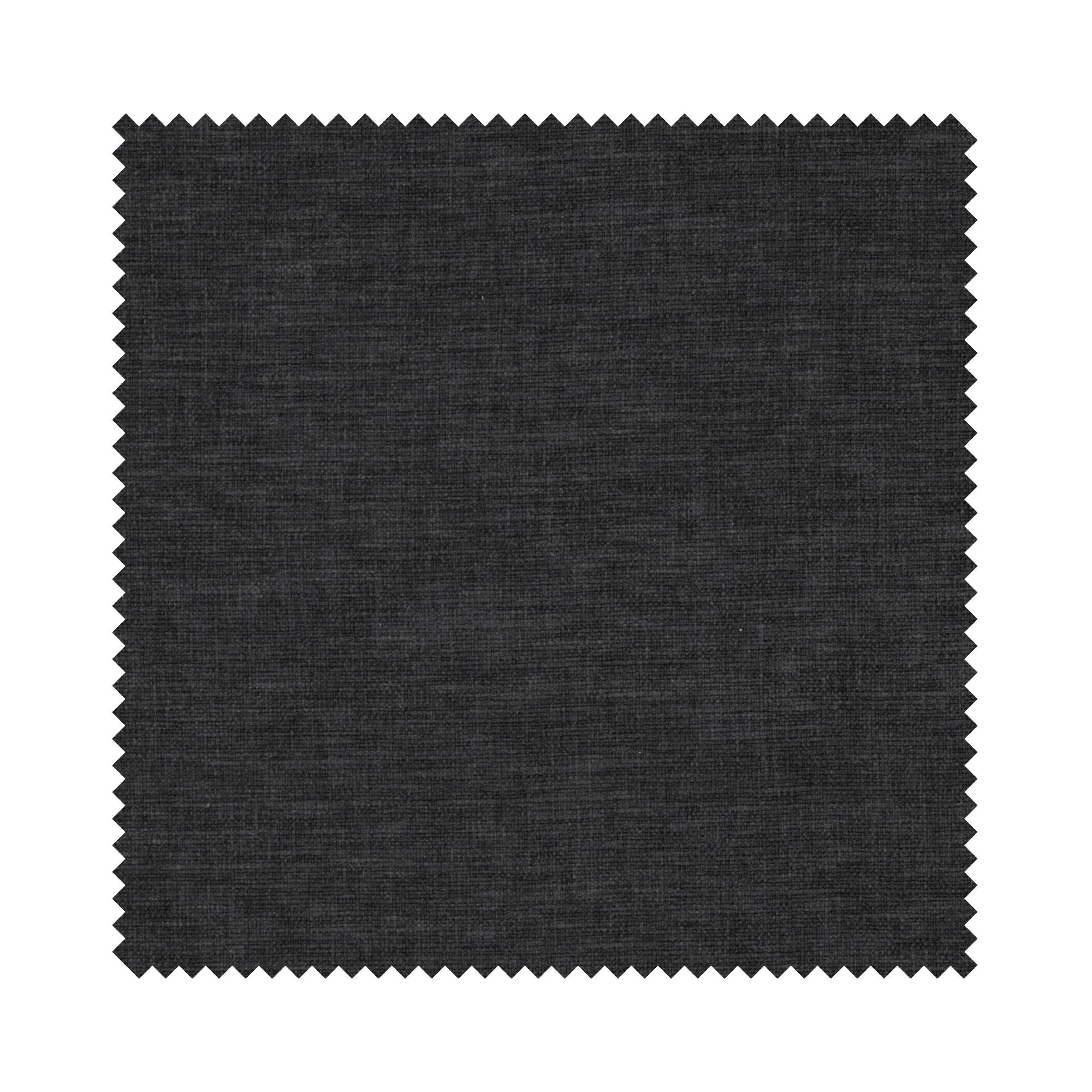 Goya Charcoal Motorised - Image 6