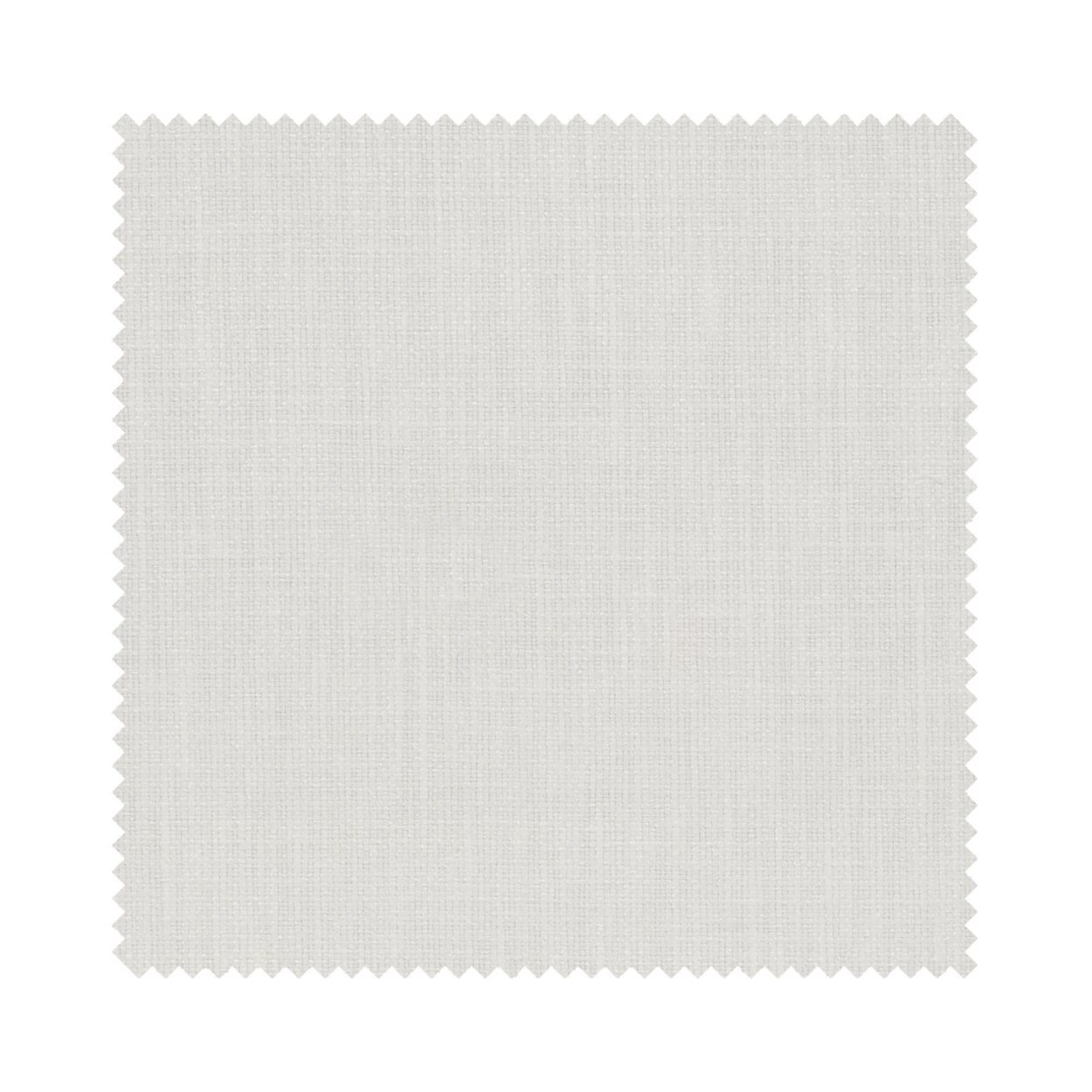 Goya Ivory - Image 8
