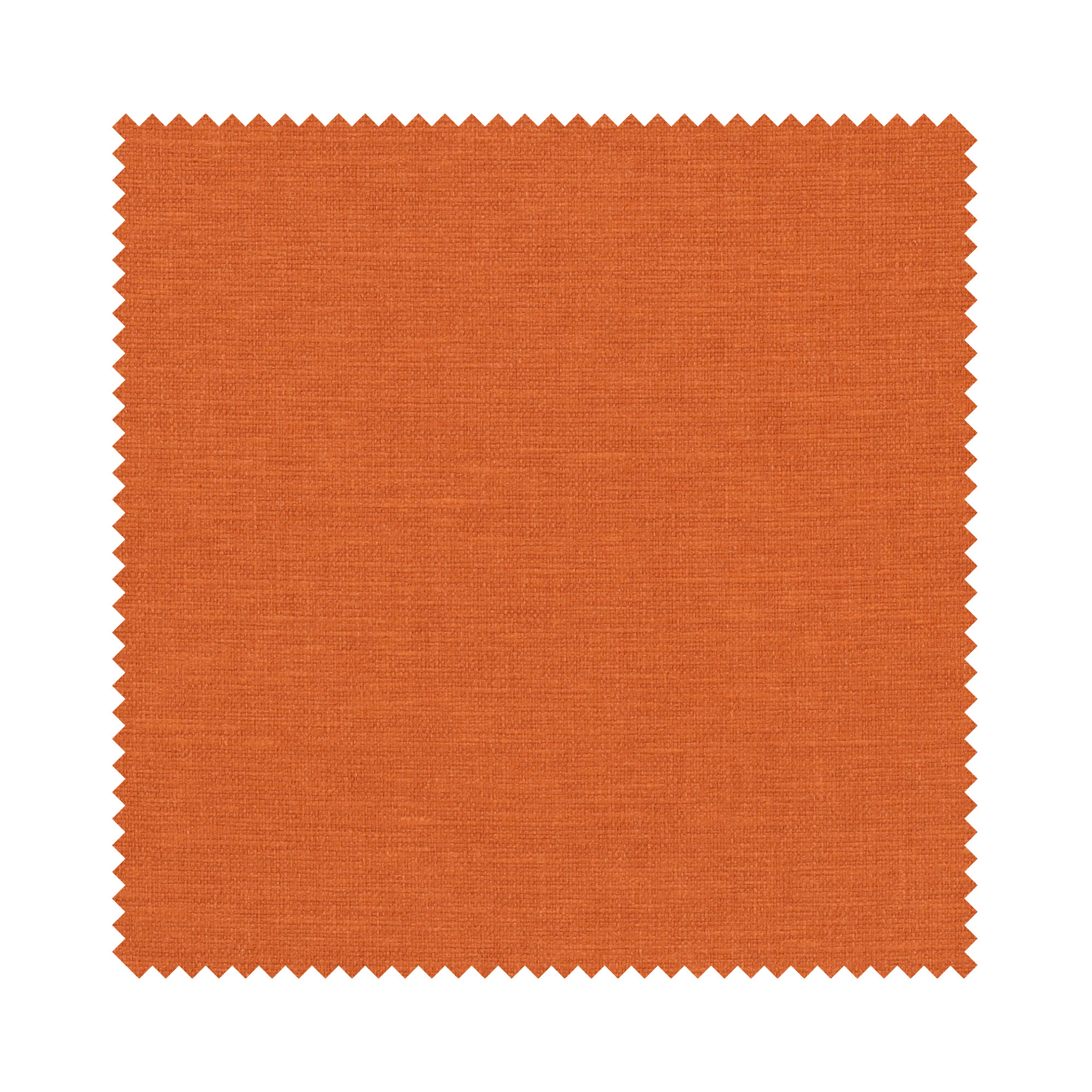 Goya Paprika Motorised - Image 6