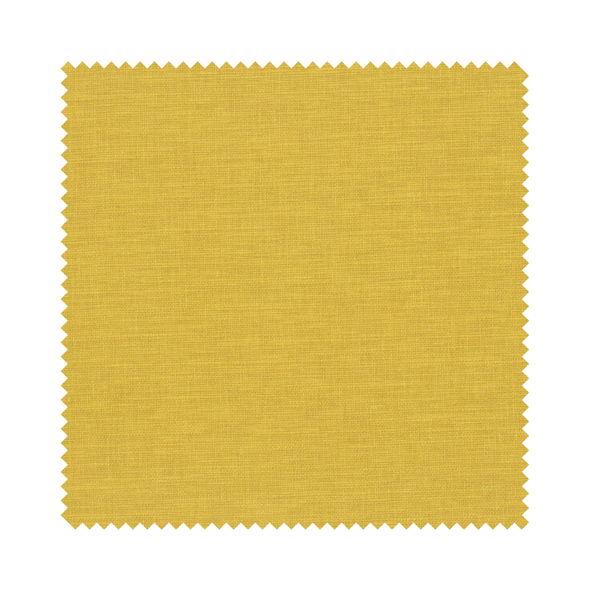 Goya Sunflower - Image 8