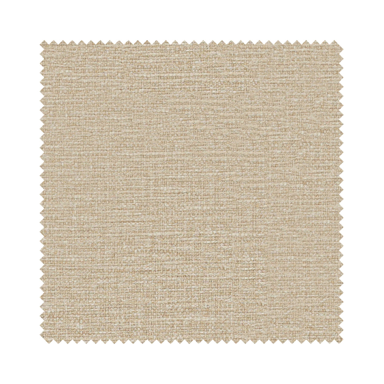Goya Wheat - Image 4