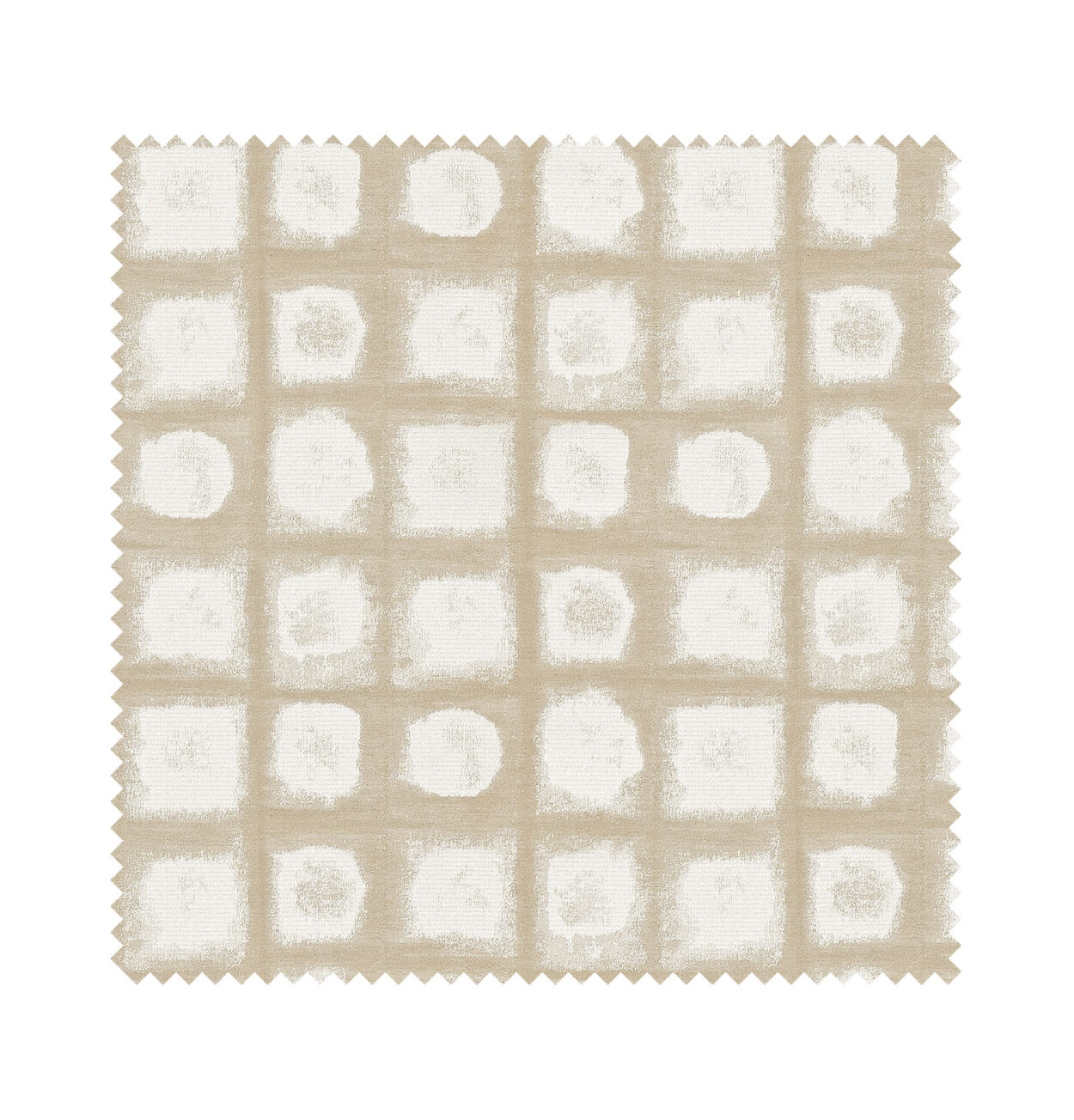 Gryon Oyster - Image 8