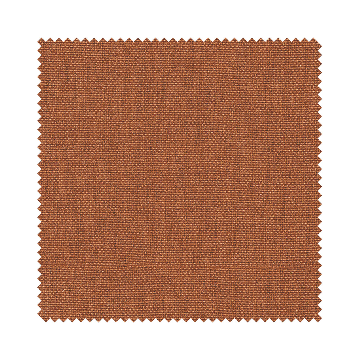 Harlow Rust - Image 6