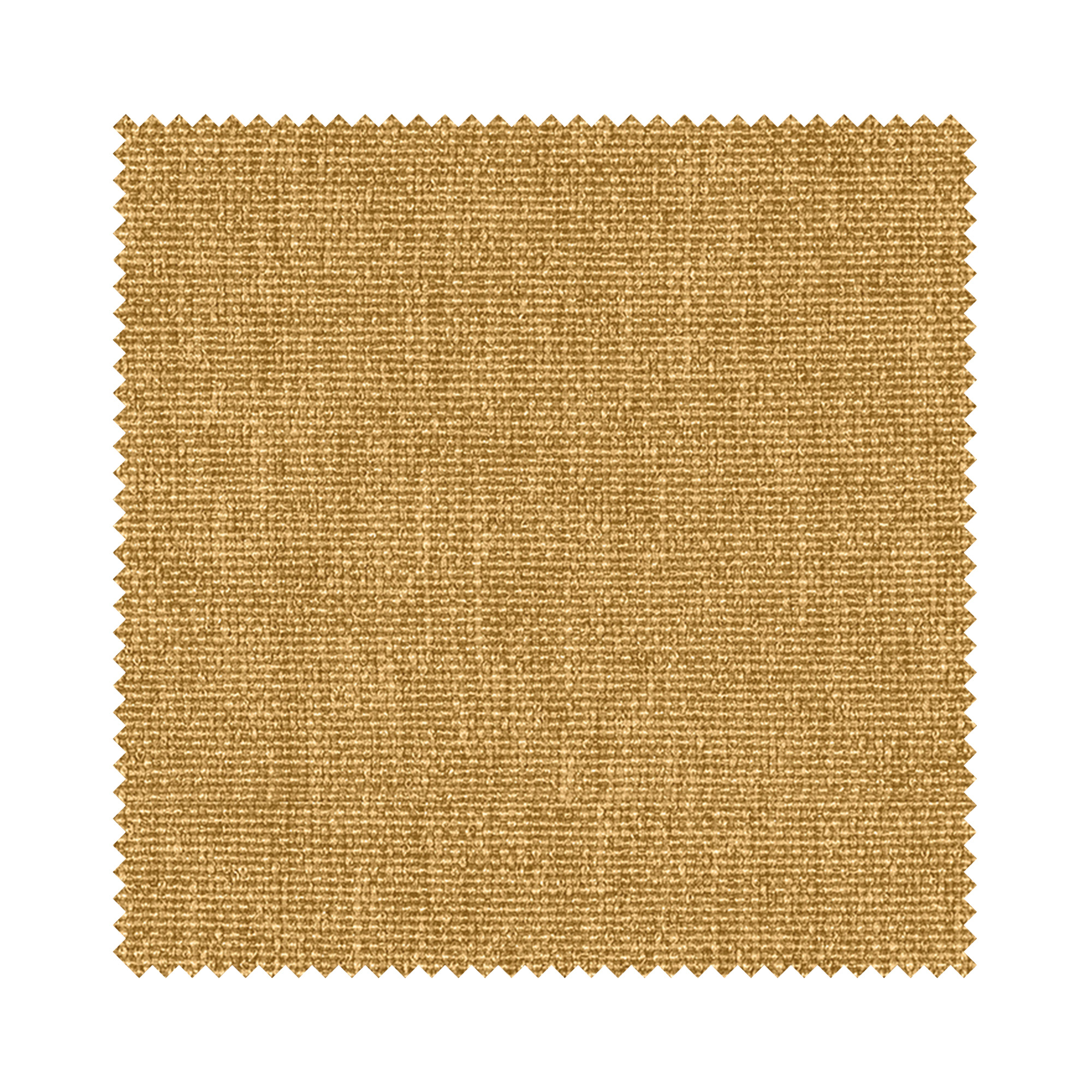 Harlow Saffron - Image 6