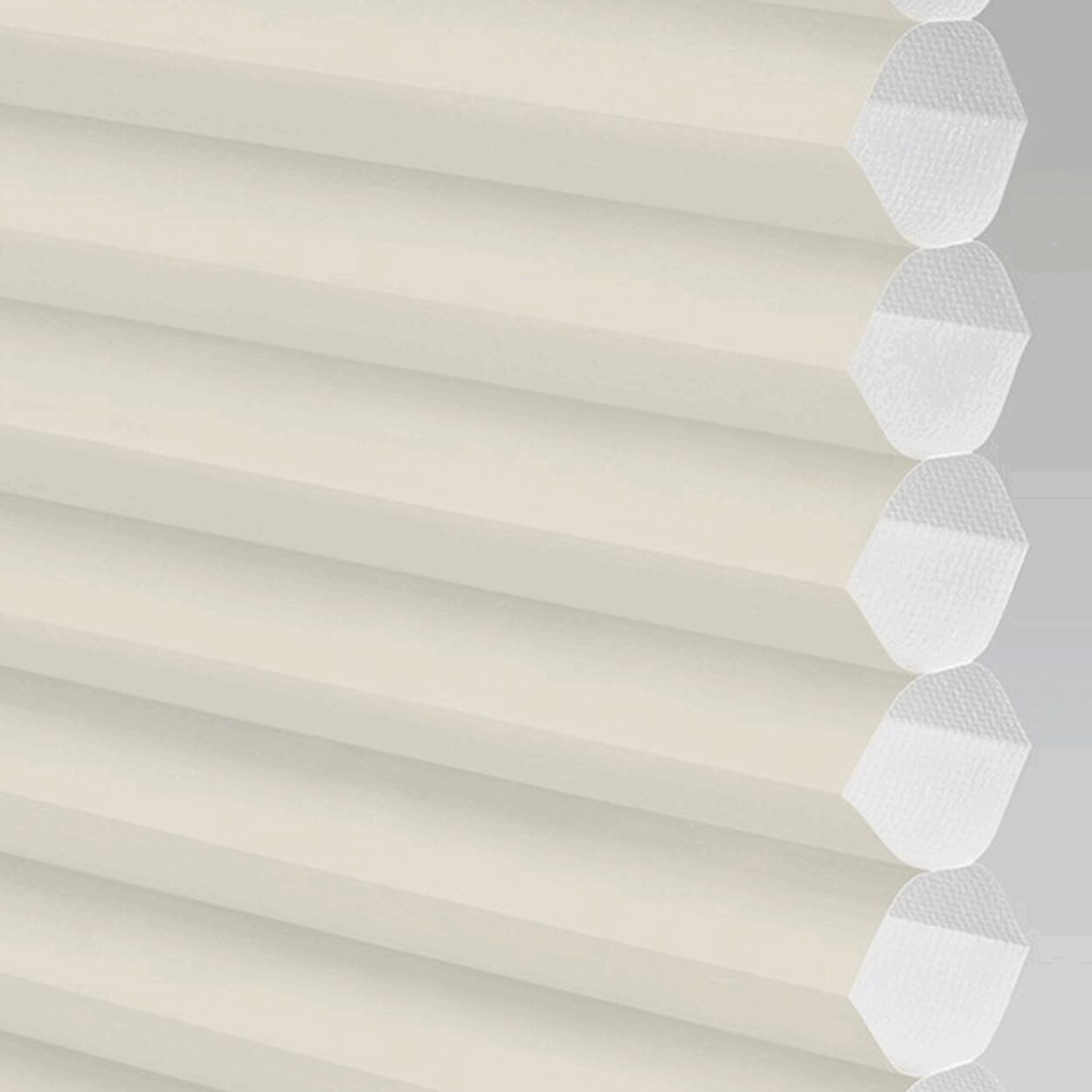 Hive Plain Cream - Image 7