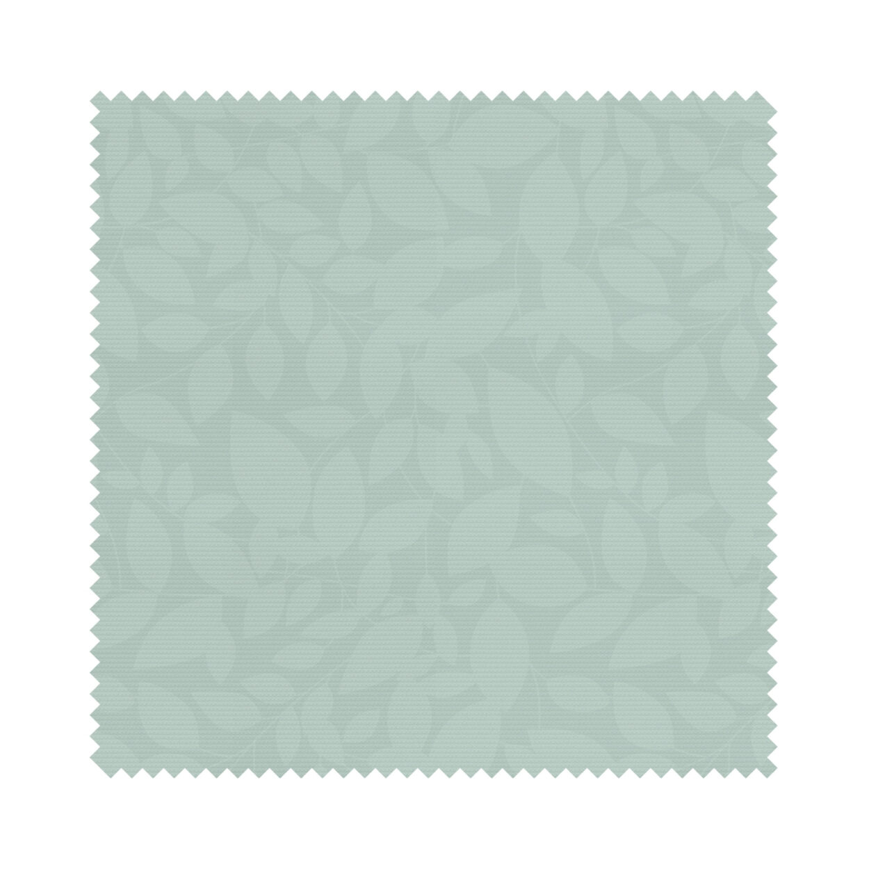 Isla Aloe - Image 6