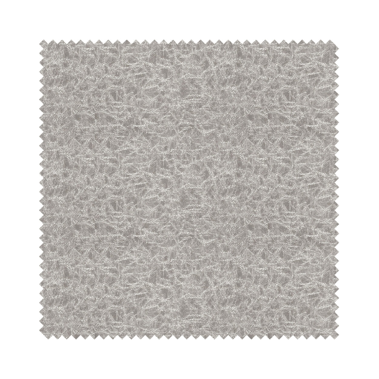 Klimt Dove - Image 5