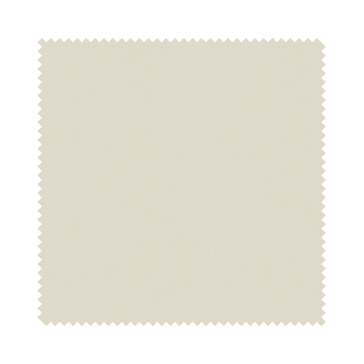 Kobe Fossil - Image 6