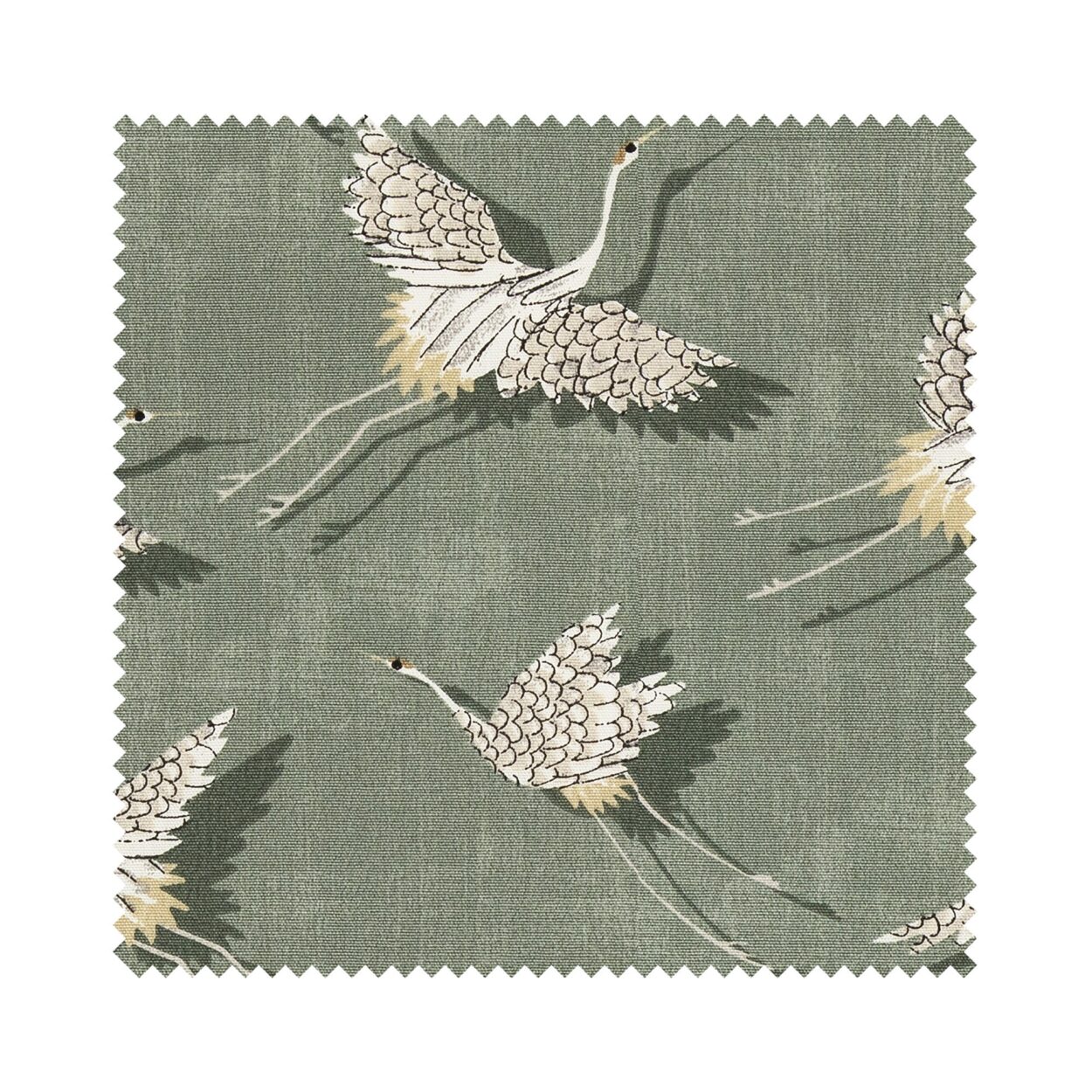 Marsden Olive - Image 5