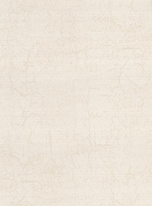 Metz Ivory Replacement Slats - Image 7