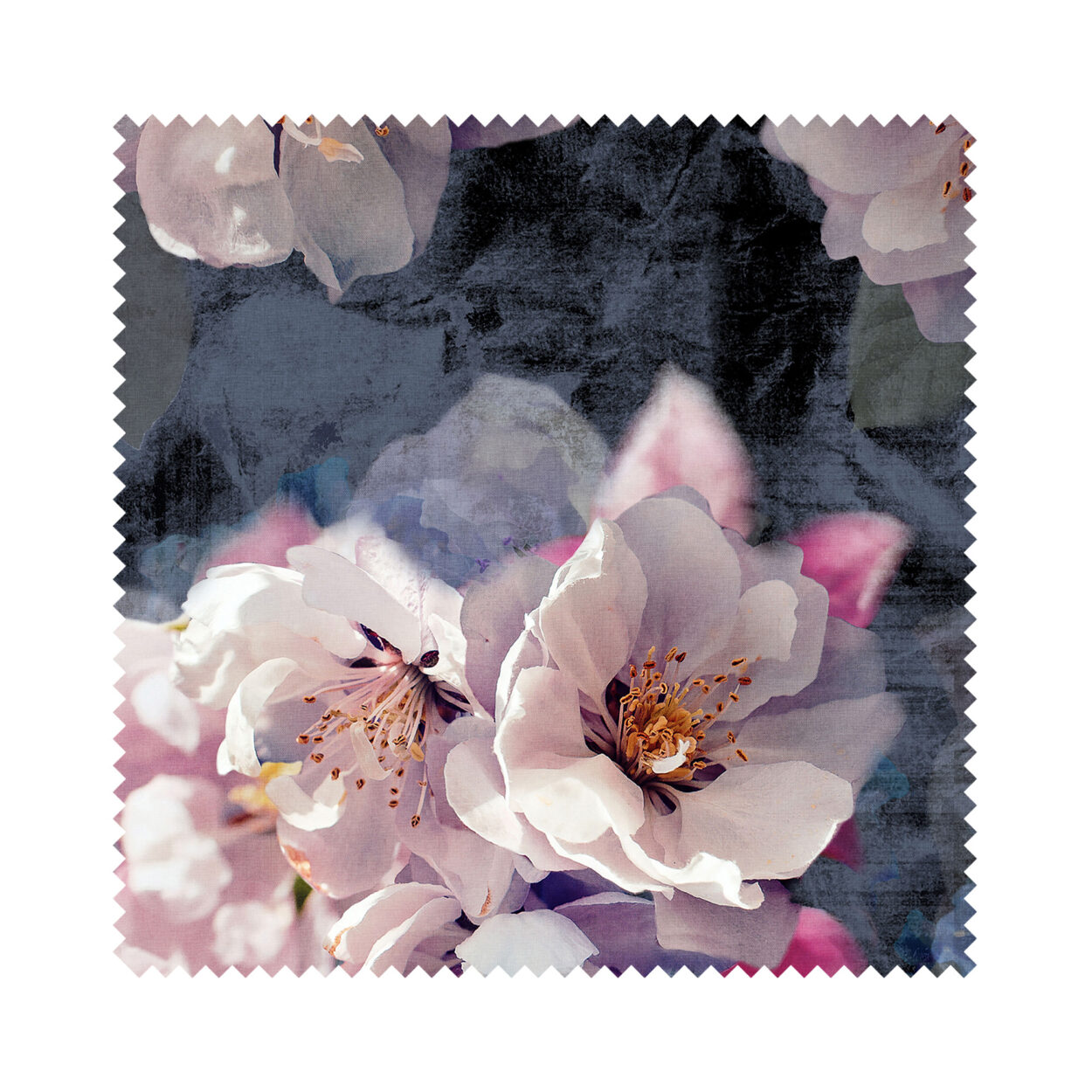 Paradiso Berry - Image 5