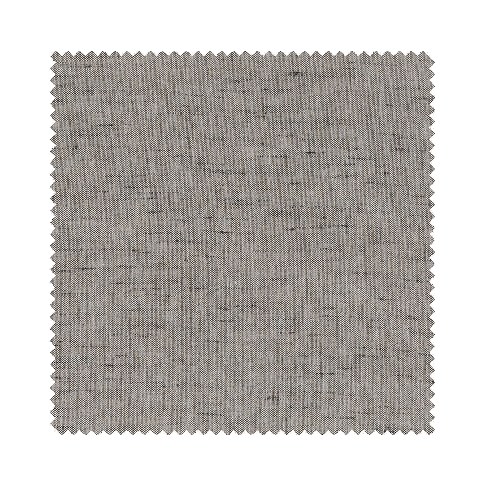 Porto Bark - Image 9