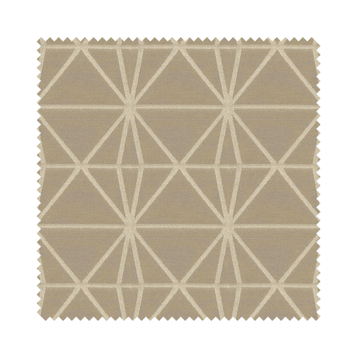 Prilly Caramel Motorised - Image 6