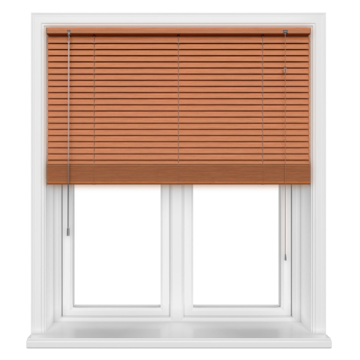 Red Chestnut - Image 3