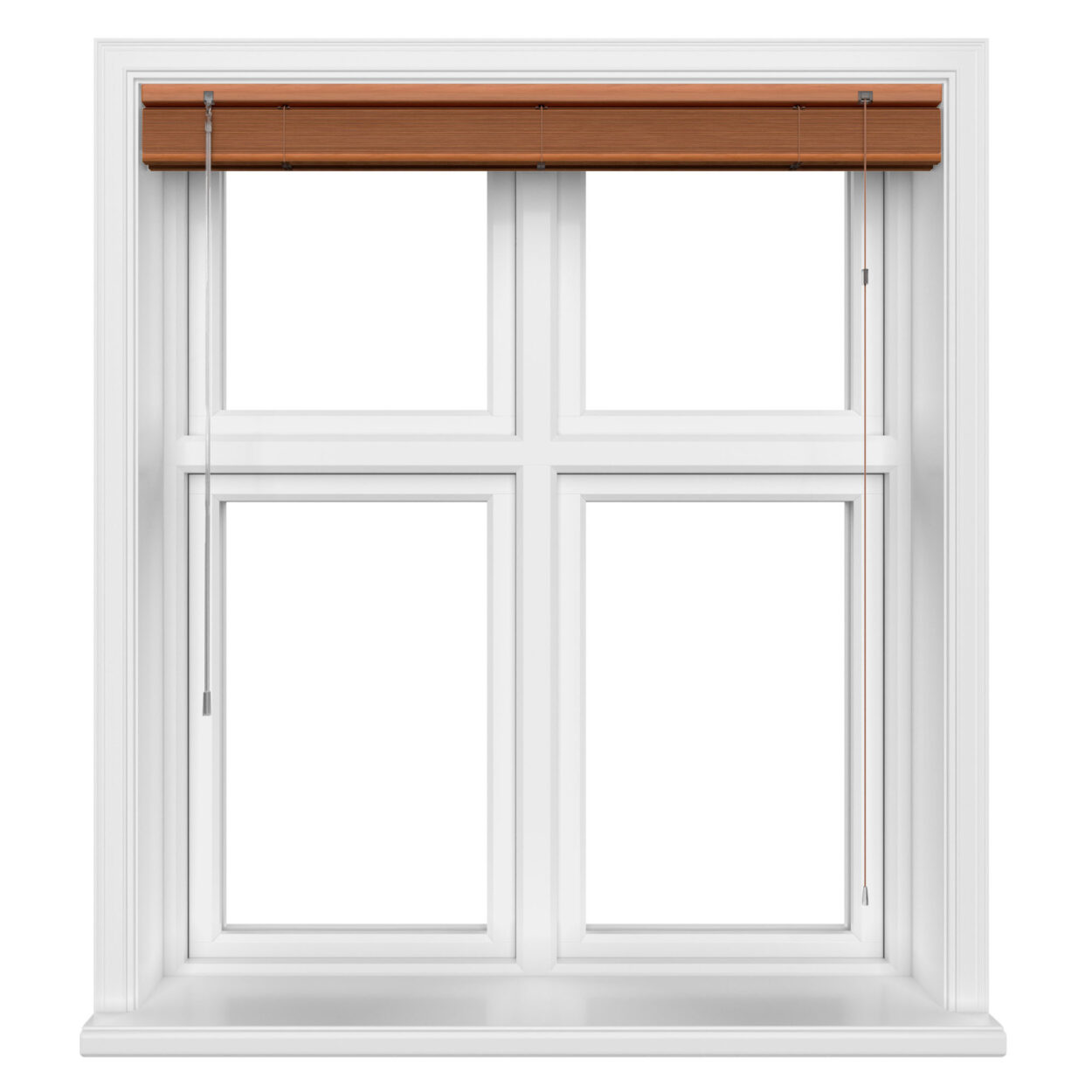 Red Chestnut - Image 4