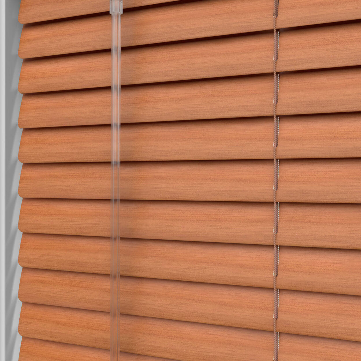Red Chestnut - Image 5