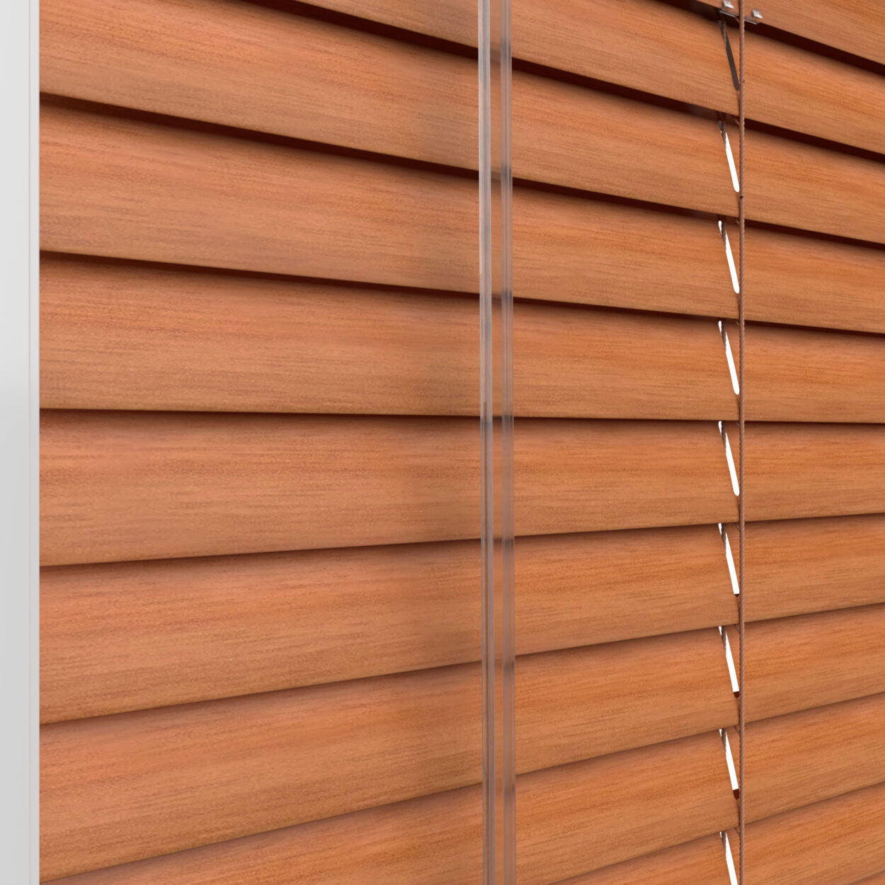 Red Chestnut - Image 6