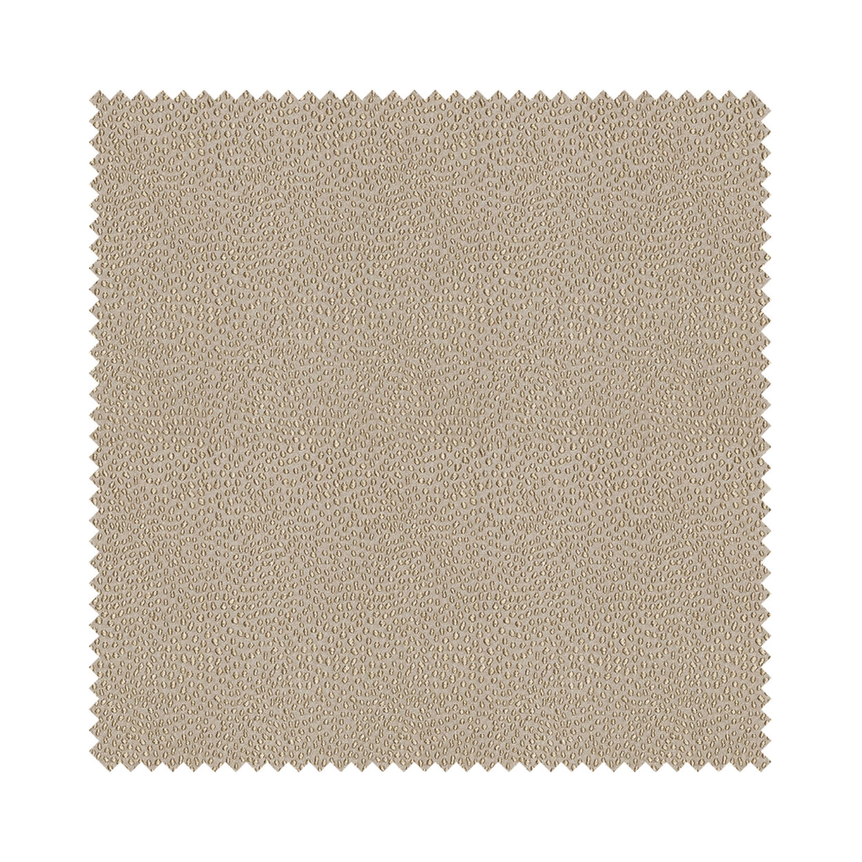 Rubens Taupe - Image 5