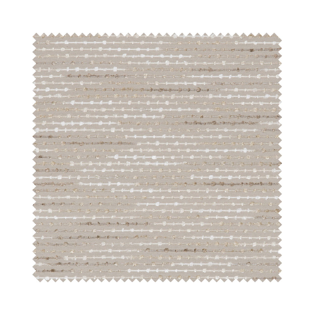 Santiago Oyster - Image 8
