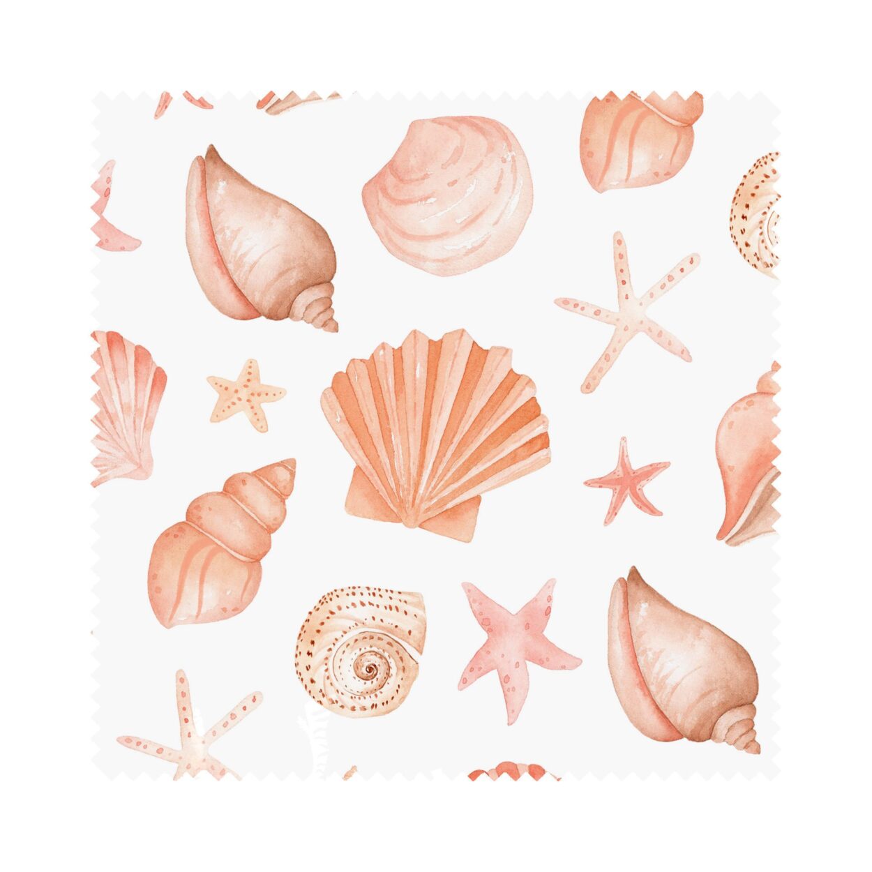 Seashells Coral Blackout - Image 5