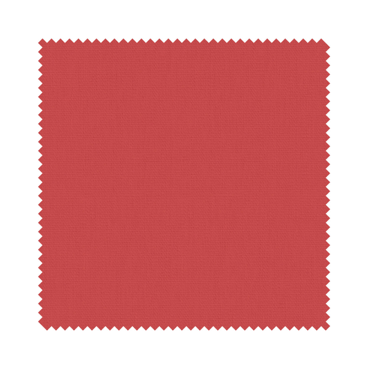 Splash Scarlett - Image 6
