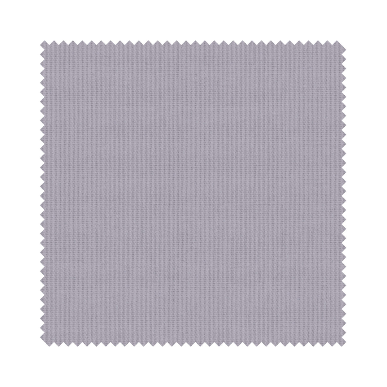 Splash Sloe - Image 7